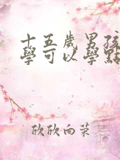 十五岁男孩不上学可以学点什么