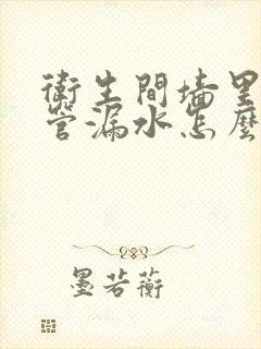 卫生间墙里的水管漏水怎么办