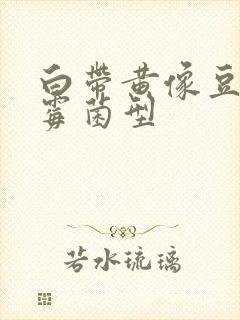 白带黄像豆腐渣霉菌型