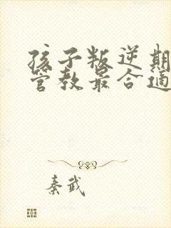 孩子叛逆期怎么管教最合适男孩?