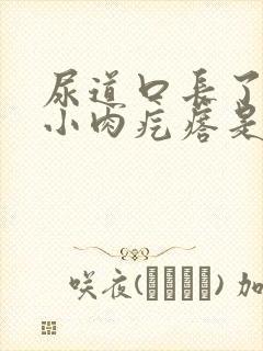 尿道口长了一个小肉疙瘩是怎么治疗