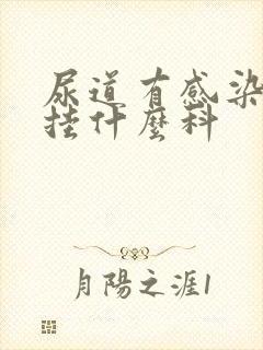 尿道有感染应该挂什么科