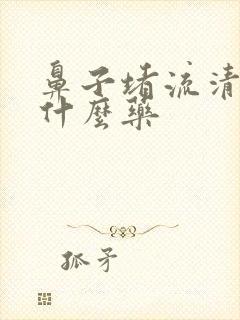 鼻子堵流清涕吃什么药