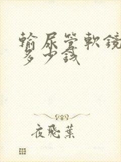 输尿管软镜取石多少钱