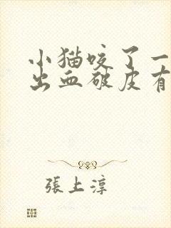 小猫咬了一下没出血破皮有事吗