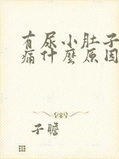 有尿小肚子就胀痛什么原因引起的