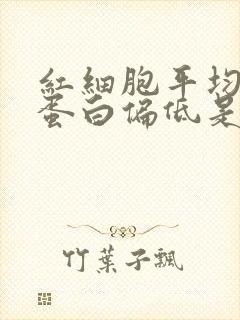 红细胞平均血红蛋白偏低是怎么回事