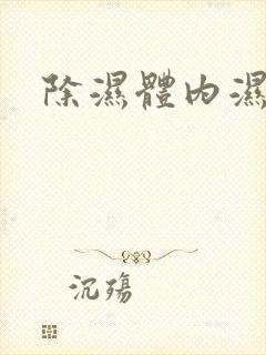 除湿体内湿气重