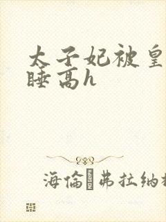 太子妃被皇上强睡高h