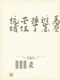 梳子掉进马桶里堵住了怎么办