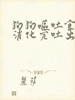 狗狗呕吐食物没消化完吐出来怎么办