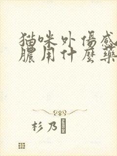 猫咪外伤感染化脓用什么药