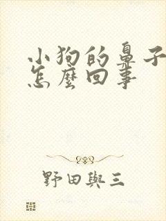 小狗的鼻子干是怎么回事