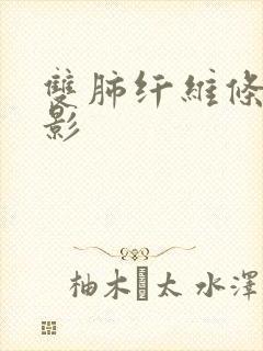 双肺纤维条索条影