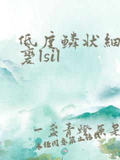 低度鳞状细胞病变lsil