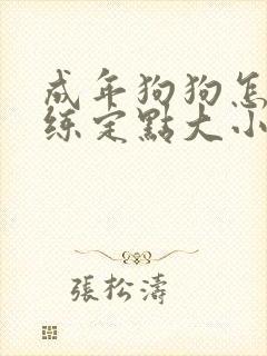 成年狗狗怎么训练定点大小便