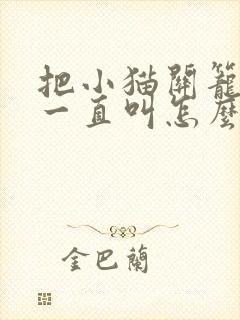 把小猫关笼子里一直叫怎么办