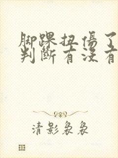 脚踝扭伤了怎么判断有没有骨折