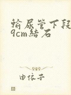 输尿管下段0.9cm结石