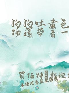 狗狗吐黄色粘稠物还带着一点食物