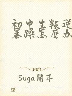 初中生叛逆厌学暴躁怎么办