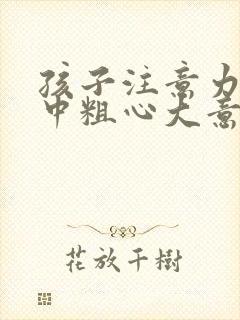 孩子注意力不集中粗心大意不认真该怎么办