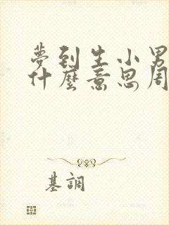 梦到生小男孩是什么意思周公解梦