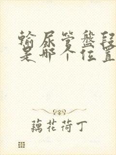 输尿管盘段结石是哪个位置图