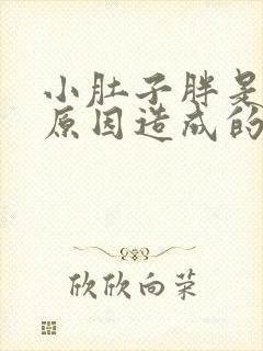 小肚子胖是什么原因造成的