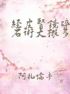 经皮肾镜碎石取石术大概多少钱