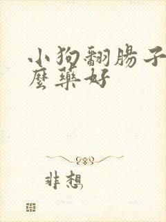 小狗翻肠子吃什么药好