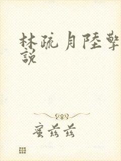 林疏月陆擎渊小说