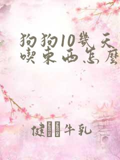 狗狗10几天不吃东西怎么办