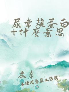 尿常规蛋白质1+什么意思