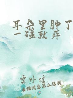 耳朵里肿了个包一碰就疼