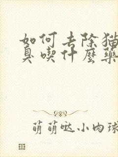 如何去除猫咪口臭吃什么药