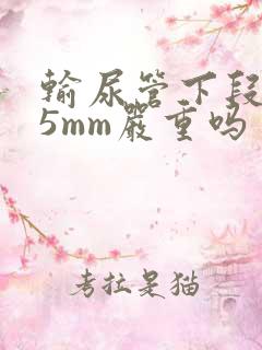 输尿管下段结石5mm严重吗