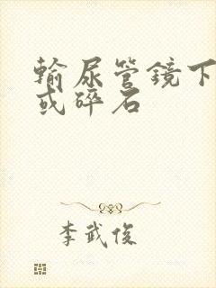 输尿管镜下取石或碎石