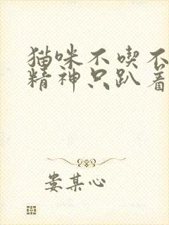 猫咪不吃不喝没精神只趴着还吐