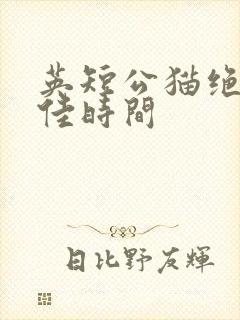 英短公猫绝育最佳时间