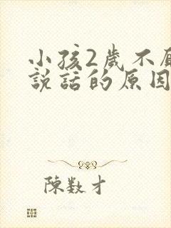 小孩2岁不愿意说话的原因