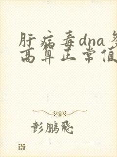 肝病毒dna多高算正常值