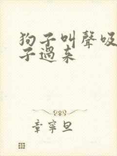 狗子叫声吸引狗子过来