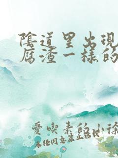 阴道里出现像豆腐渣一样的分泌物