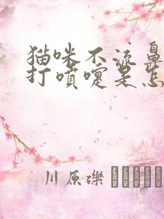 猫咪不流鼻涕但打喷嚏是怎么回事