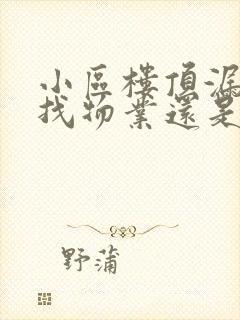 小区楼顶漏水是找物业还是自己修