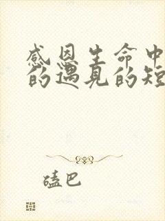 感恩生命中所有的遇见的短句