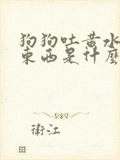 狗狗吐黄水不吃东西是什么原因