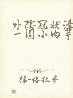 外阴冠状沟处有一圈小肉芽