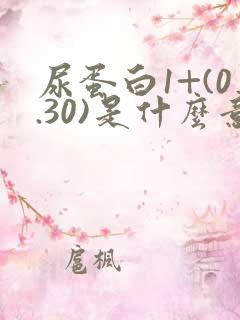 尿蛋白1+(0.30)是什么意思